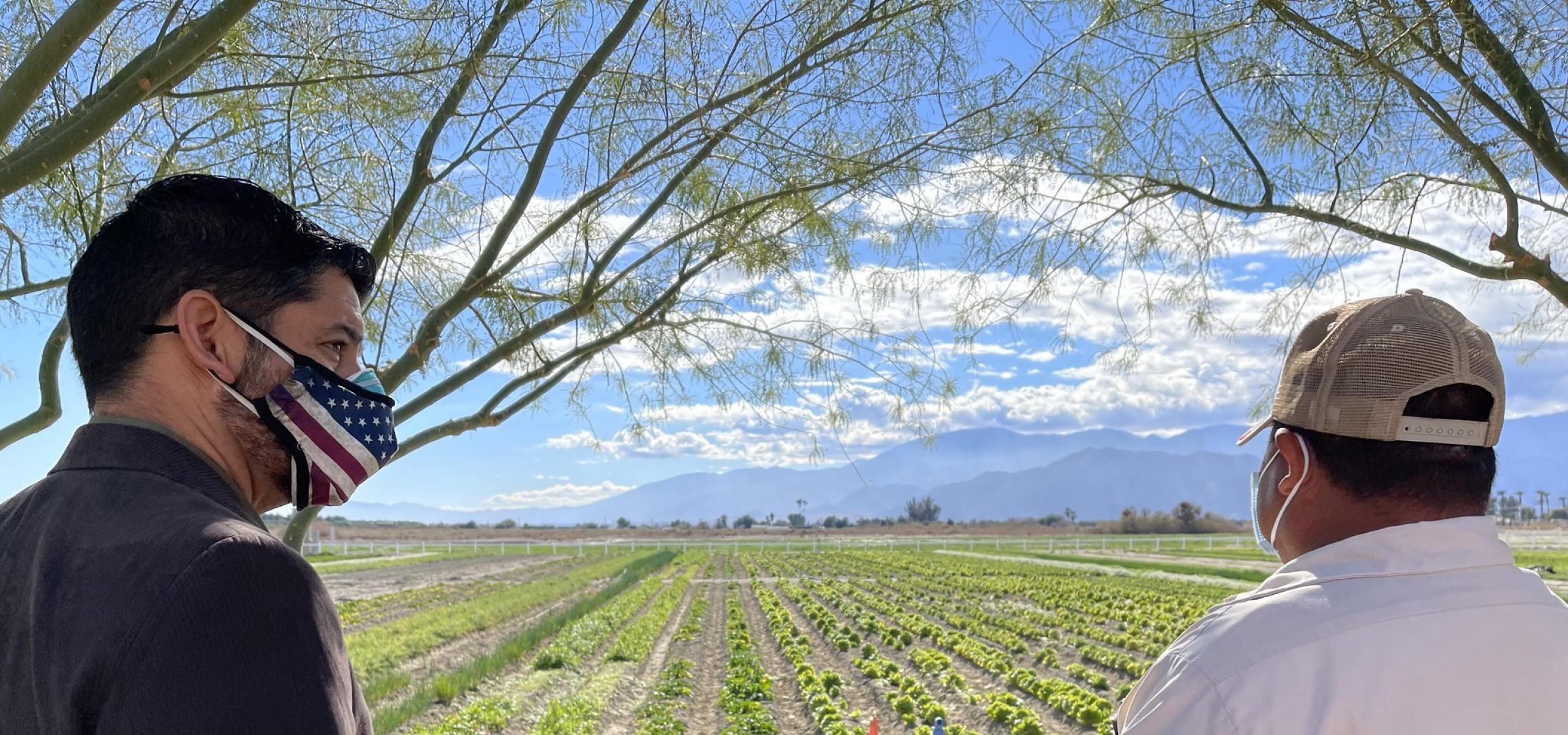 Rep. Ruiz at Augustine Band Farm Market