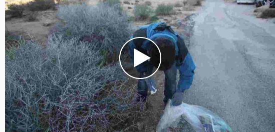 Rep. Raul Ruiz visits Joshua Tree National Park during Shutdown